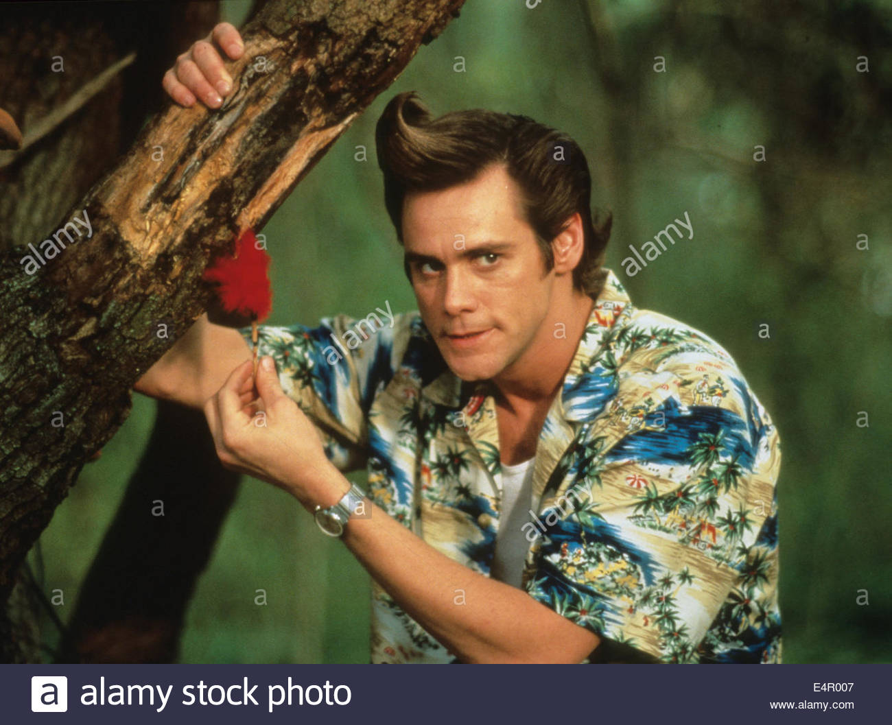 Ace Ventura Movie Download For Mobile
